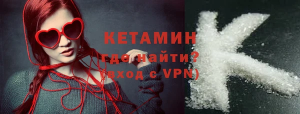 крисы Корсаков