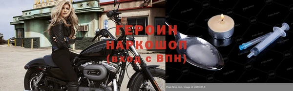 крисы Корсаков