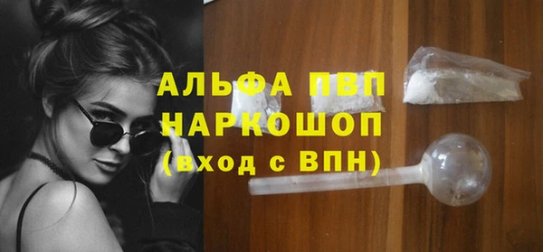крисы Корсаков