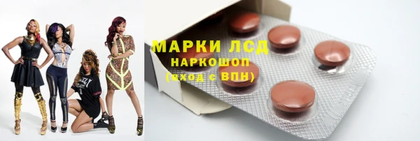 крисы Корсаков