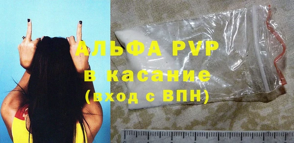 крисы Корсаков