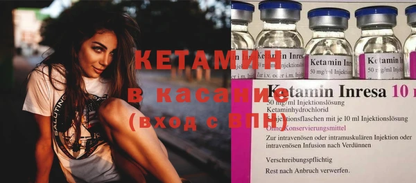 крисы Корсаков