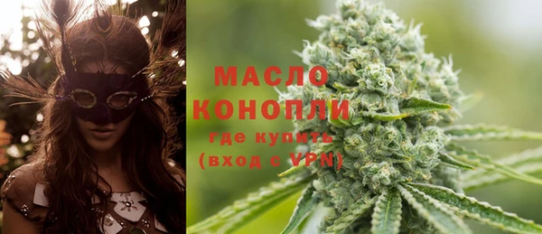 крисы Корсаков