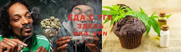 крисы Корсаков