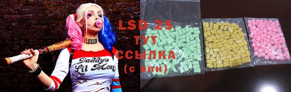 крисы Корсаков
