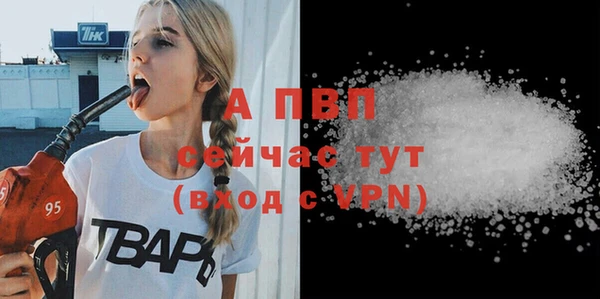 СК Краснослободск