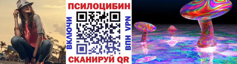 Купить  Белый  Псилоцибиновые грибы Cubensis 